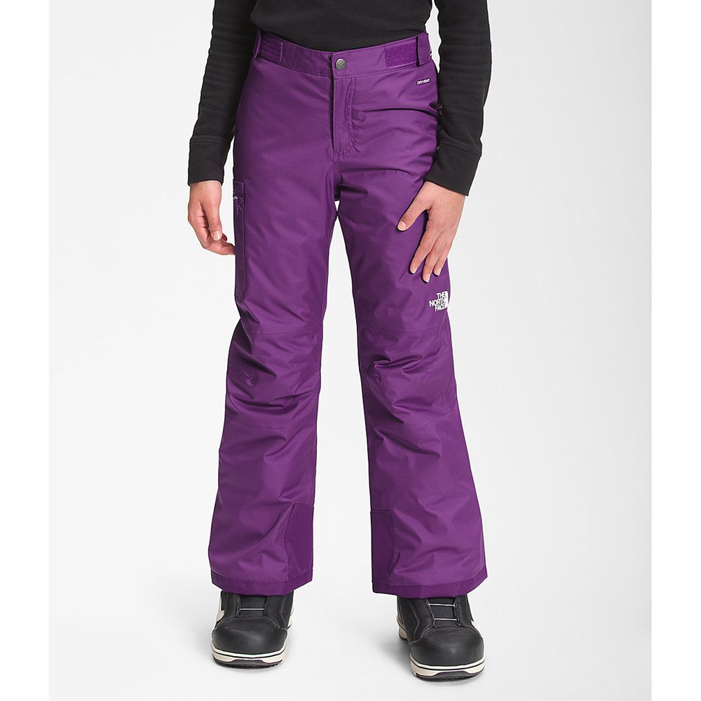 The North Face Pants Girls Australia - The North Face Freedom Insulated Purple Dryvent (FPL-254897)